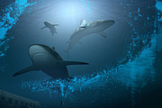 52 Blubber Brushes, a Brush Add-On by xresch (Thumbnail 8 of 8)