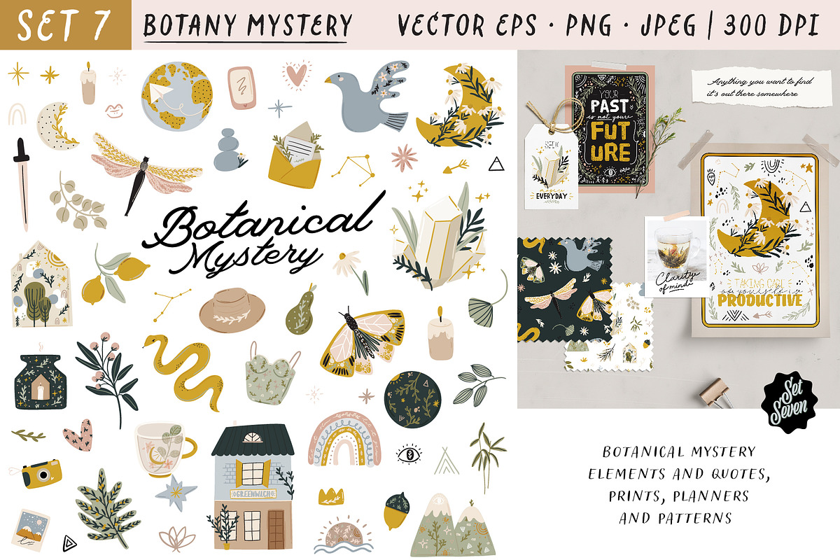 Botany & Halloween mystery BUNDLE, a Decorative Illustration by Ruslana Lubenets (Photo 36 of 47)
