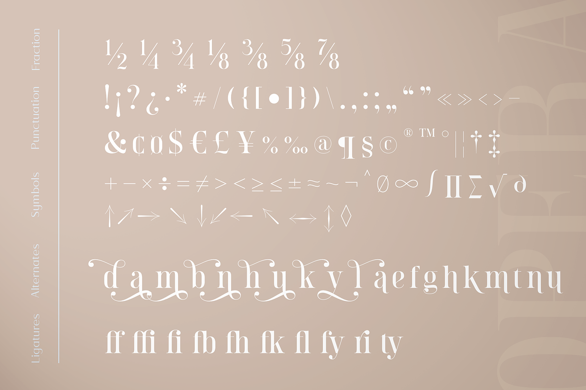 Opera Signature | Font Duo, a Serif Font by Larin Type Co. (Photo 13 of 15)