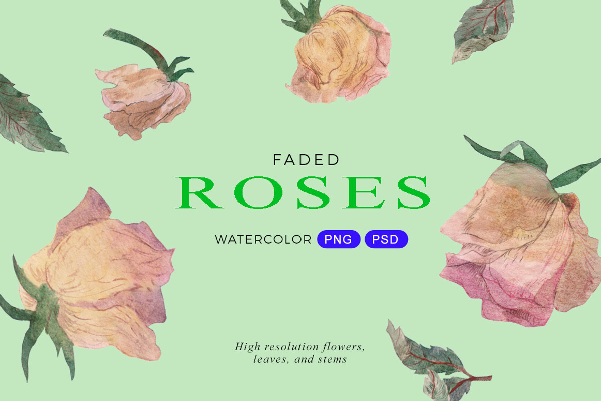 Faded Roses Watercolor, an Object Illustration by Volga_Store (Photo 1 of 9)