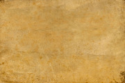 Vellum Textures, a Texture Graphic by Blue Line Design (Thumbnail 10 of 21)