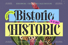 Bistoric Historic Modern Serif