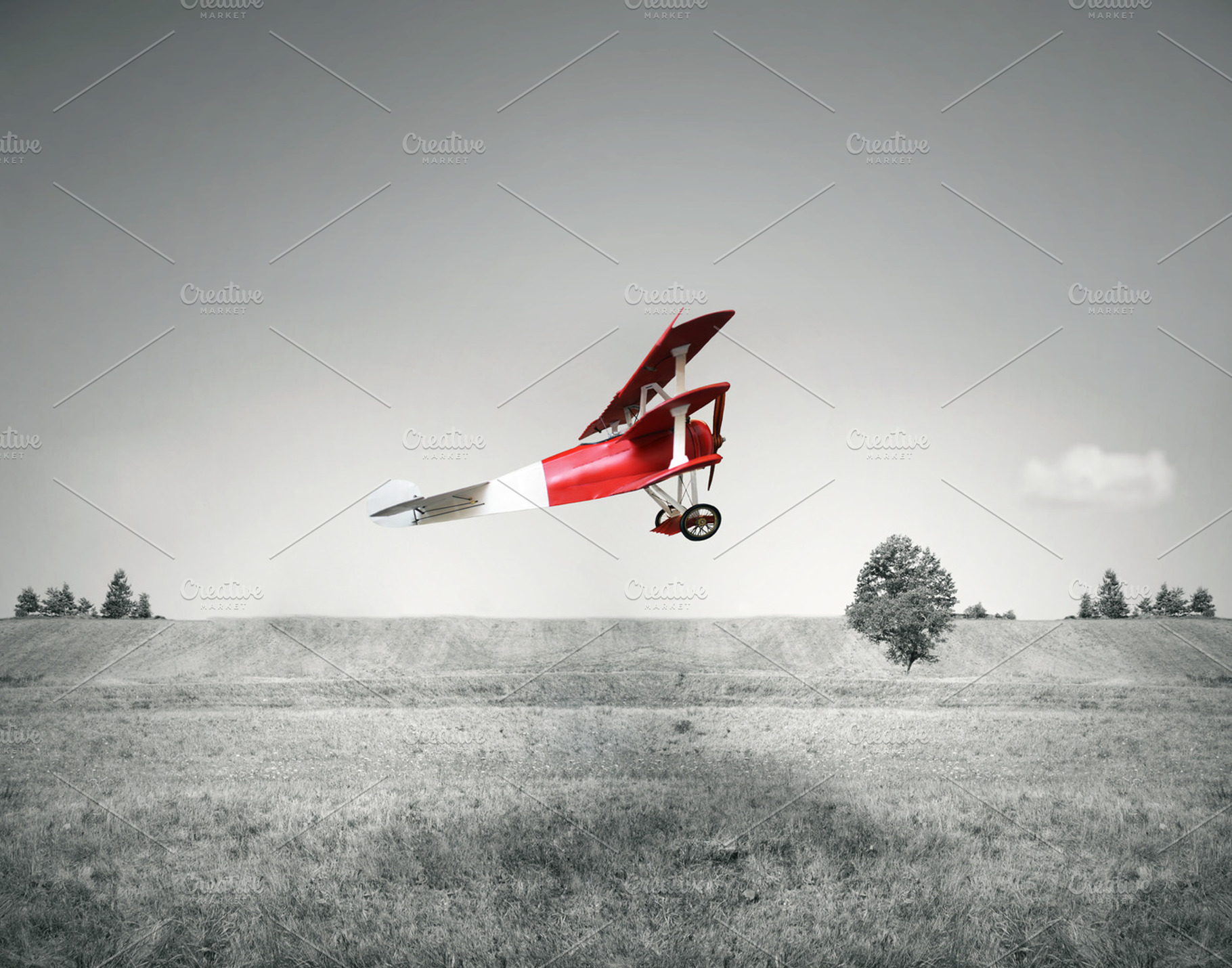 Red Vintage Airplane