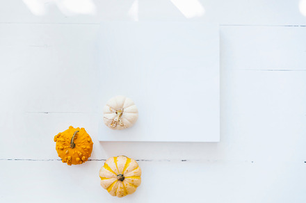 Empty picture frame with autumn pumpkin decor on white wooden ba, a Holiday Photo by hitdelight