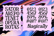 Deliria Liquid Serif, a Serif Font by Pedroglifos (Thumbnail 4 of 10)