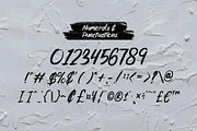 Rushport Handwritten Brush Font, a Script Font by Dawnside Graphic (Thumbnail 5 of 12)