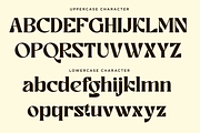 Ronikel - Modern Serif Font, a Serif Font by Font Liner (Thumbnail 10 of 12)