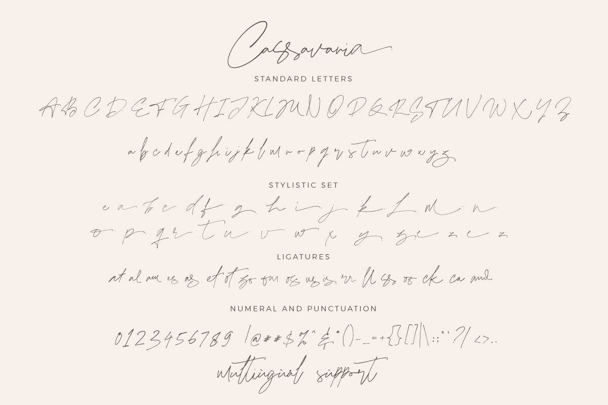 Cassavania - Signature with Ligature, a Script Font by Dirtytemp Studio (Photo 5 of 17)