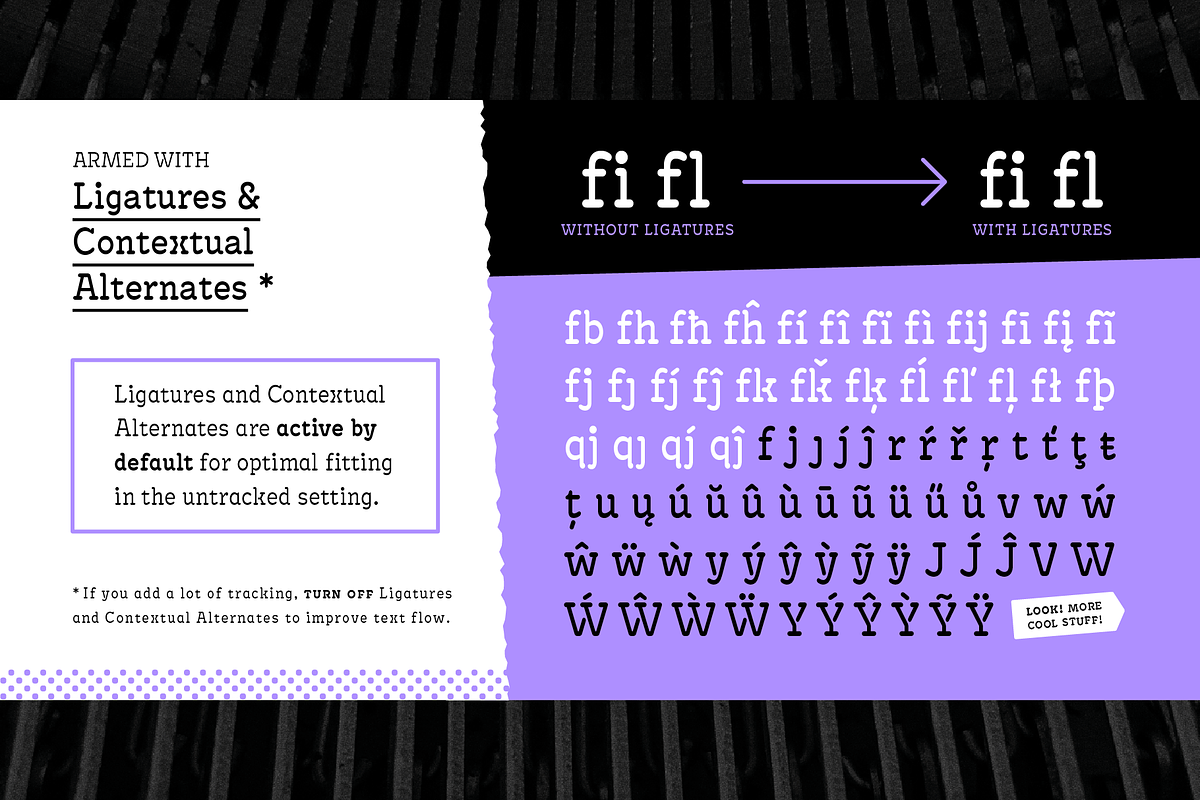 Antypica Family, a Slab Serif Font by Anfound Type (Photo 8 of 12)