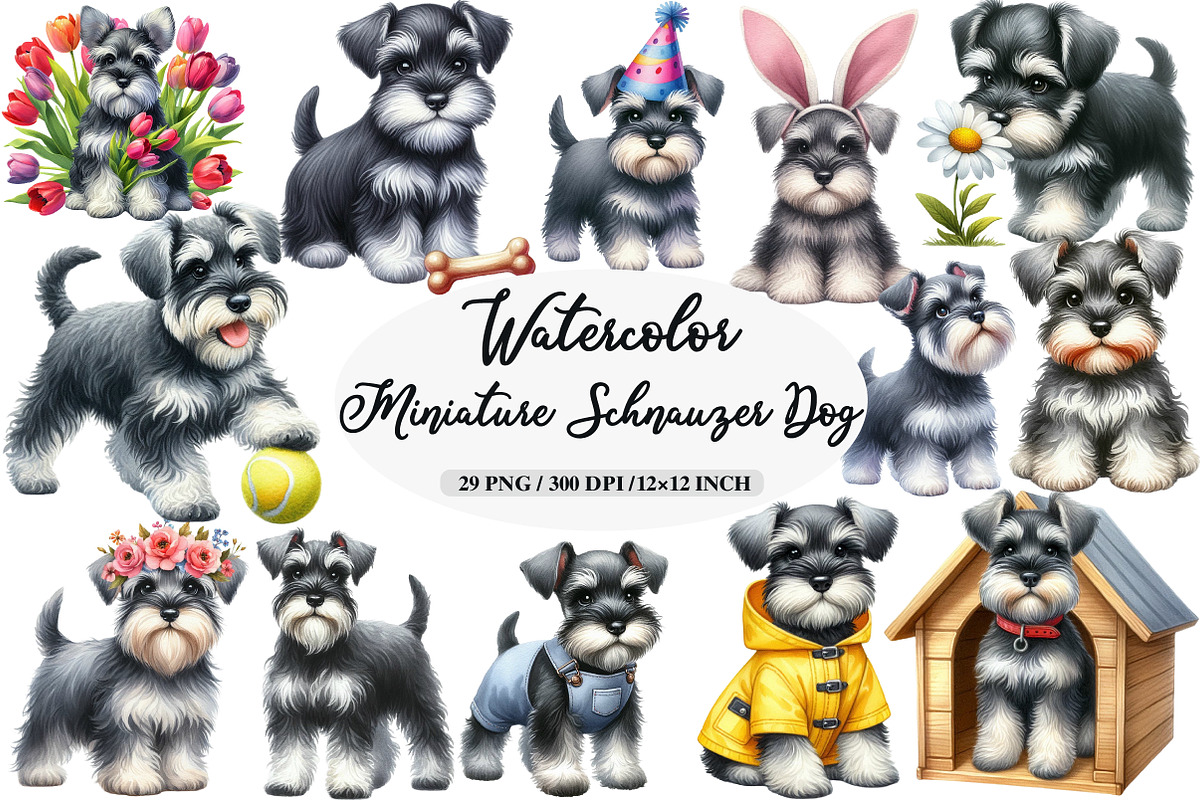 Miniature Schnauzer Dog Clipart, an Illustration by Daily.Designs (Photo 1 of 5)