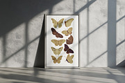 Pastel Butterfly Clipart & Pattern, an Animal Illustration by Vaniuta_Art (Thumbnail 7 of 12)