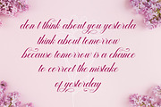 Belgium Script, a Script Font by Strong.co (Thumbnail 5 of 7)
