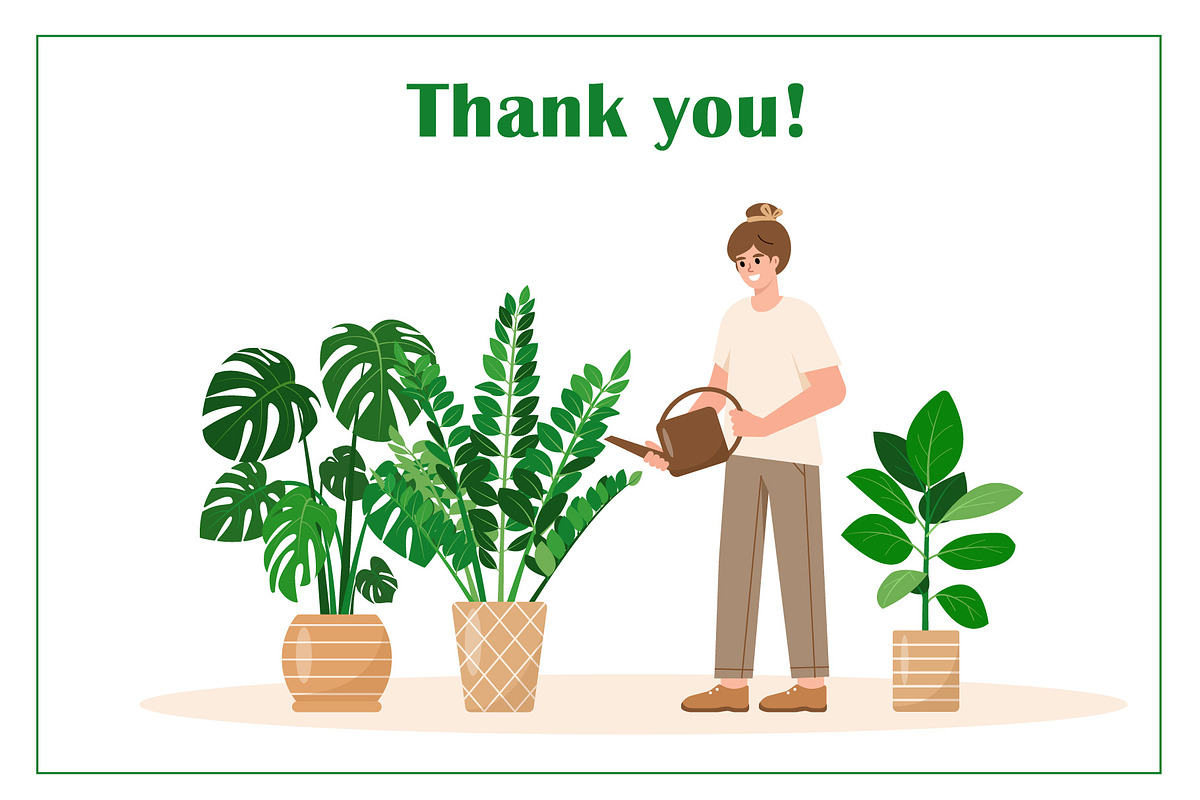 Home plants in cozy interiors, an Illustration by Elena Istomina (Photo 10 of 10)