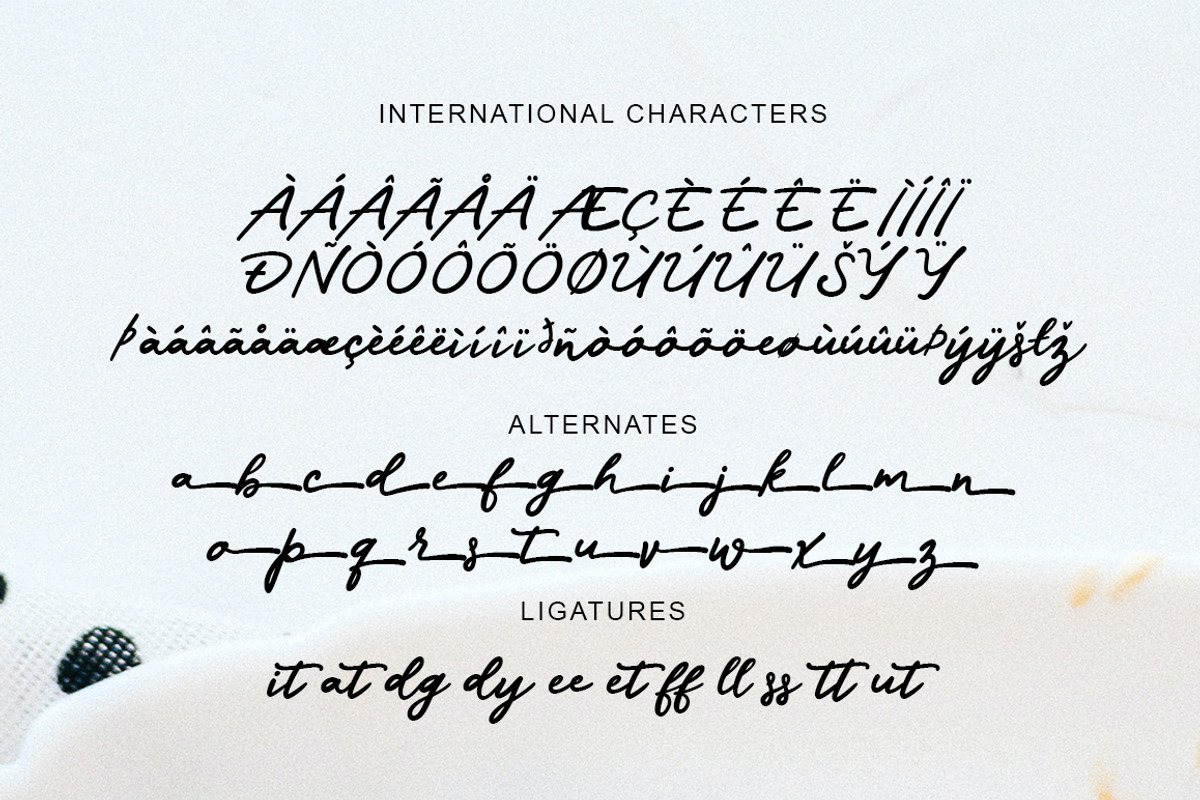 Funta, a Script Font by Gatype (Photo 5 of 8)