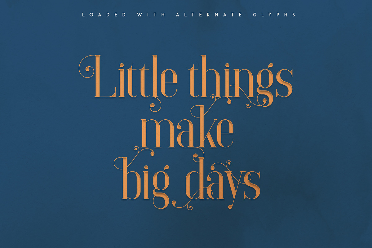 Elysian - serif font, a Serif Font by VP Fonts (Photo 11 of 12)