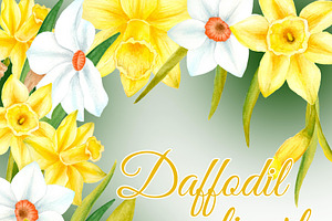 Watercolor Daffodil Flowers