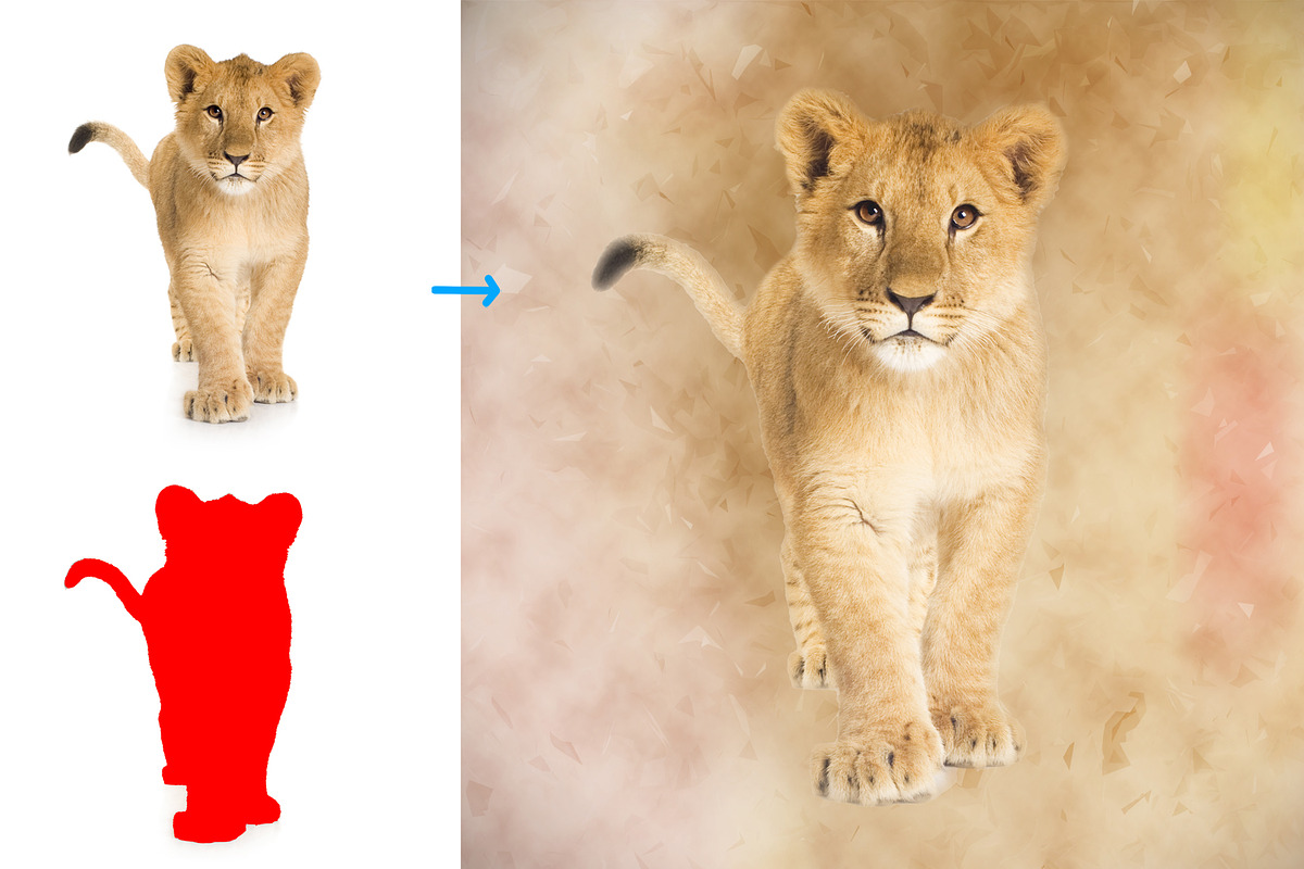 Photo Backdrop Creator, an Action Add-On by MRI STUDIO (Photo 2 of 12)