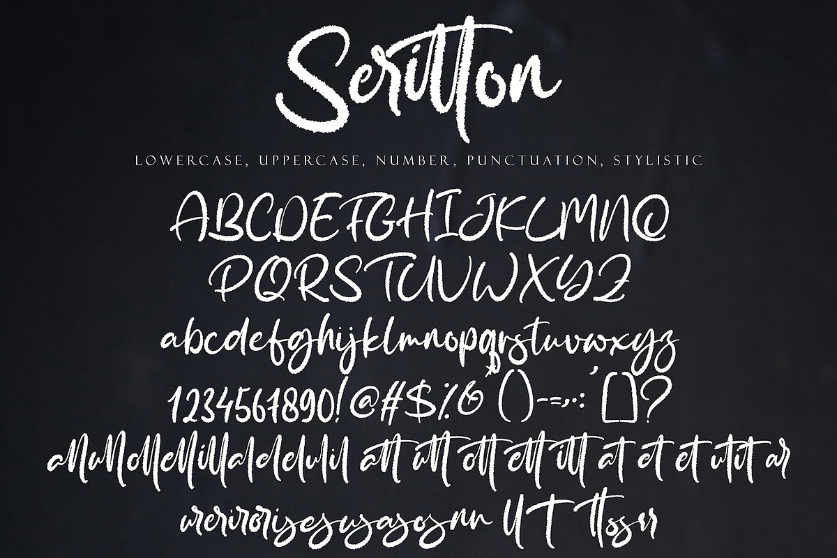 Seritton, a Script Font by pineungtype (Photo 10 of 10)