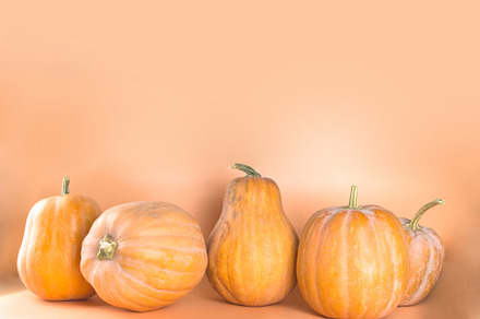 Autumn pumpkins on beige autumn background, a Food & Drink Photo by Rimma