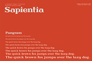 Sapientia - Serif Font Family, a Serif Font by Artistic & Unique (Thumbnail 10 of 12)