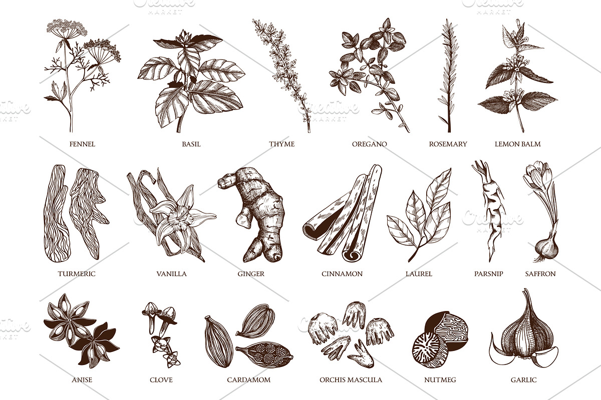 Ink Hand Drawn Spice Collection preview 6