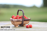 Gingham Lightroom Preset, an Action Add-On by The Bell Sisters (Thumbnail 6 of 11)