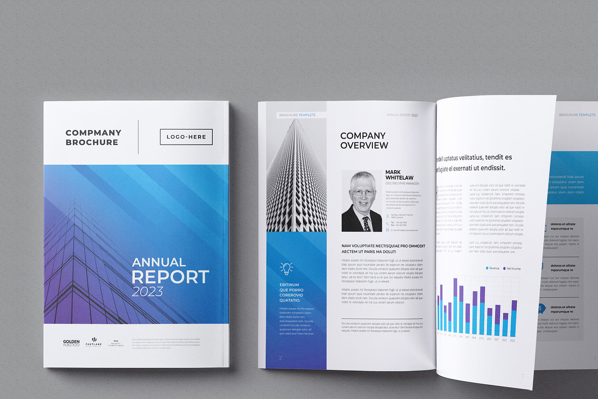 Annual Report | Docx | InDesign, a Brochure Template by BrochuresFactory (Photo 2 of 7)