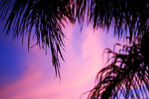 Cotton Candy Skies