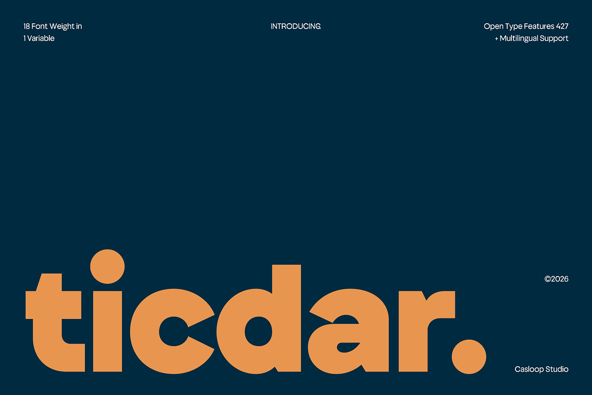 Ticdar – Editorial Typeface, a Sans Serif Font by Casloop Studio (Photo 1 of 10)