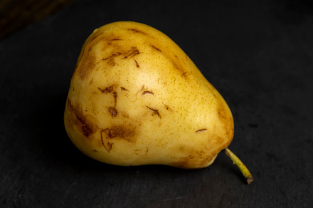 ripe green and yellow pear on a board, a Photo by MyPhotos