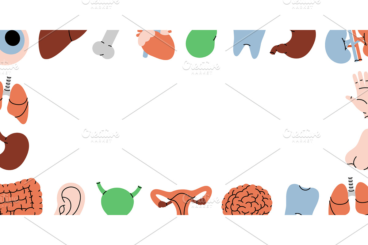 Human organs horizontal outline, an Object Illustration by GraphiShop