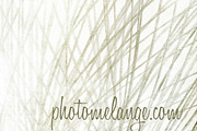 PhotoMelange Pencil Sketch Textures preview 4