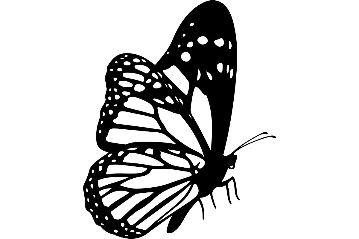 Butterfly Silhouette Bundle, an Object Graphic by Designer_Momina (Photo 6 of 20)