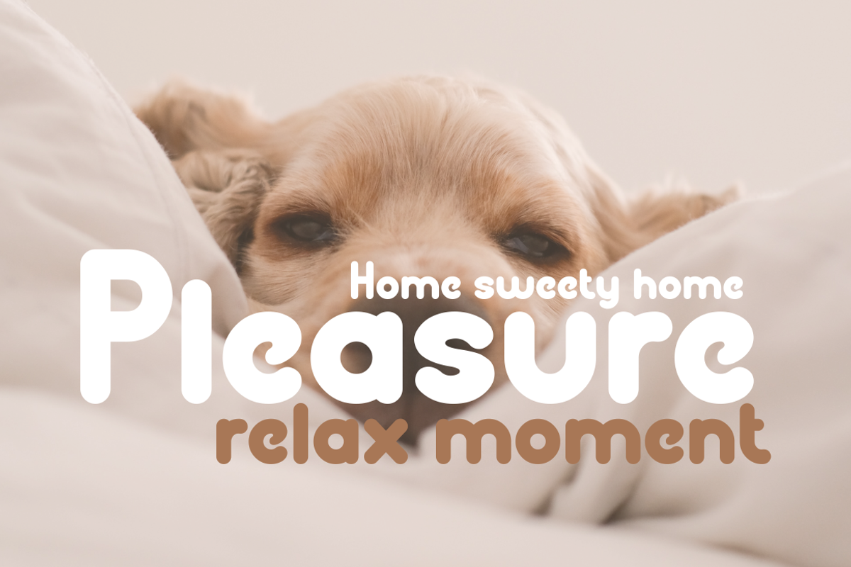 Jelliope Font, a Sans Serif Font by Monoletter Studio (Photo 5 of 6)