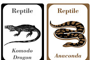 Reptiles Flash Cards Kids, a Card Template by DigitalsDesigns (Thumbnail 2 of 4)