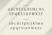 Quorum - Cinematic Luxury Font, a Serif Font by Sensatype (Thumbnail 10 of 13)