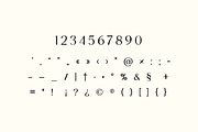 Roscia Sylvia Elegant Serif Font, a Serif Font by UICreative (Thumbnail 4 of 13)