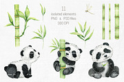 Panda Watercolor illustrations, an Animal Illustration by Fedulova Art (Thumbnail 2 of 11)