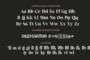 Fragille Modern Serif, a Serif Font by Silverdav (Thumbnail 9 of 10)