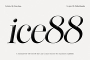 Lifestyle Icons | 8 Font Files, a Serif Font by Pista Mova (Thumbnail 7 of 21)
