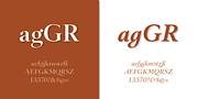 Barocco PRO, a Serif Font by preussTYPE (Thumbnail 8 of 12)