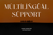 Ralien Modern Serif Typeface, a Serif Font by Alfinart (Thumbnail 10 of 10)