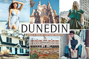 Dunedin Pro Lightroom Presets