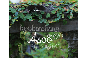 QUEKIE Natural Font, a Serif Font by MARSOSE
