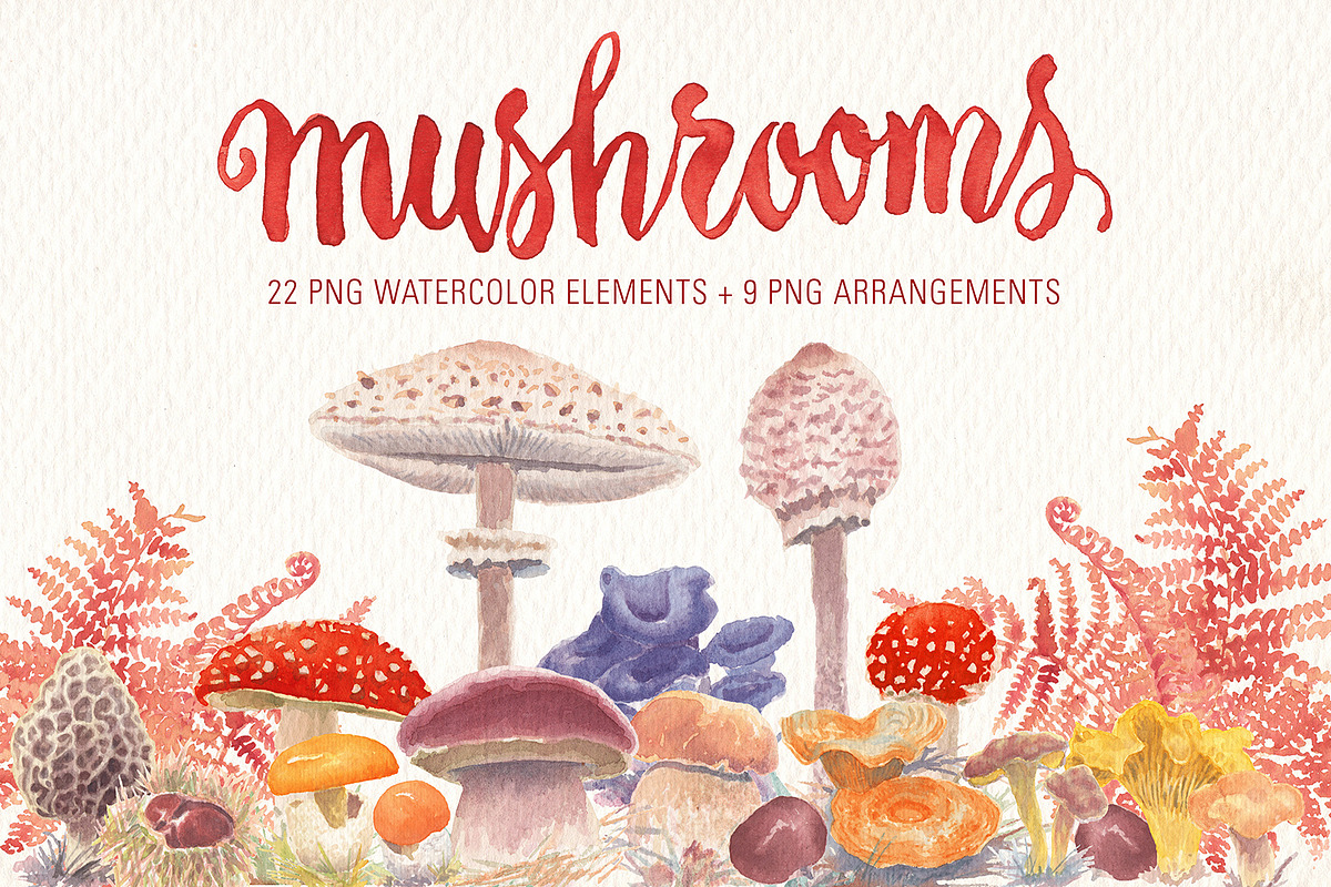 MUSHROOMS WATERCOLOR CLIPART SET, a Food Illustration by Art & Things (Photo 1 of 5)