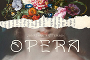 Typobelle - Art Nouveau Typeface, a Serif Font by HipFonts (Thumbnail 9 of 9)