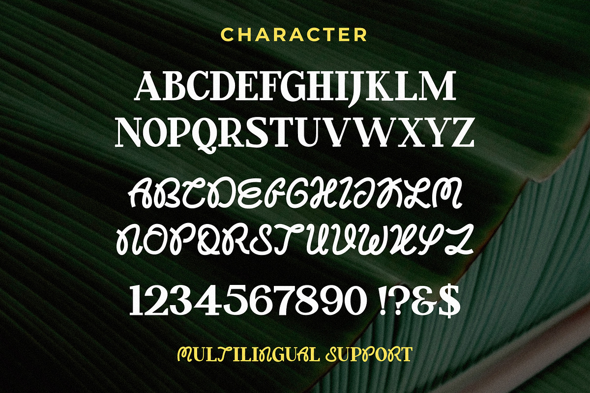 Dextor - Display Font, a Handwritten Font by Lettermine