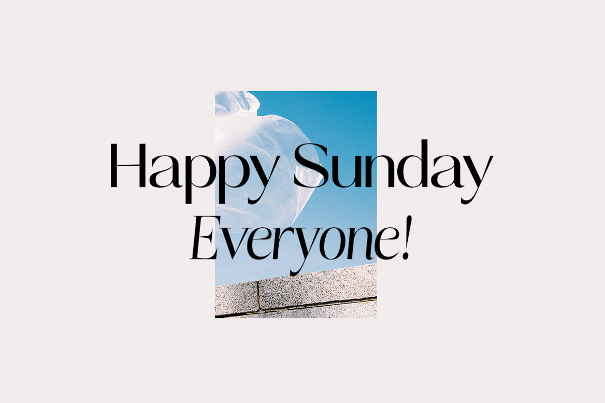 Talesha Font Family, a Serif Font by Seniors (Photo 2 of 30)