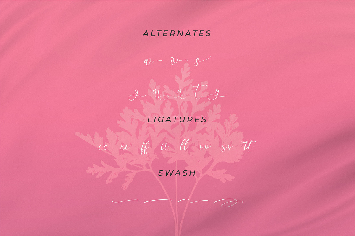 Nattalia Sillena, a Script Font by Integritype Studio (Photo 11 of 15)