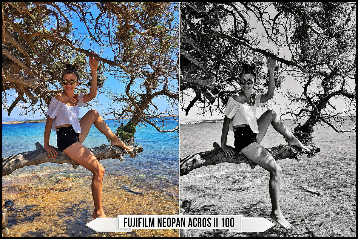 Fujifilm Black and White Film LUTs, a Plug-in Add-On by Raztrend (Photo 3 of 30)